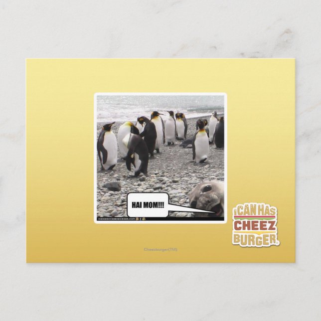 HAI MAMMA! VYKORT (Framsida)