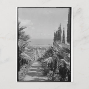 Haifa - från Mt. Carmel, 1920-talet Vykort