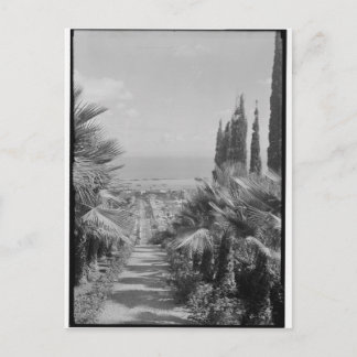 Haifa - från Mt. Carmel, 1920-talet Vykort