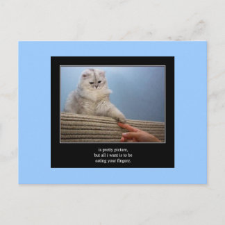 Haiku cat 14 vycard vykort