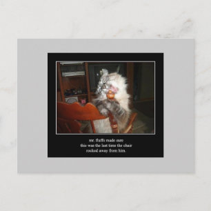 Haiku cat 15 vycard vykort