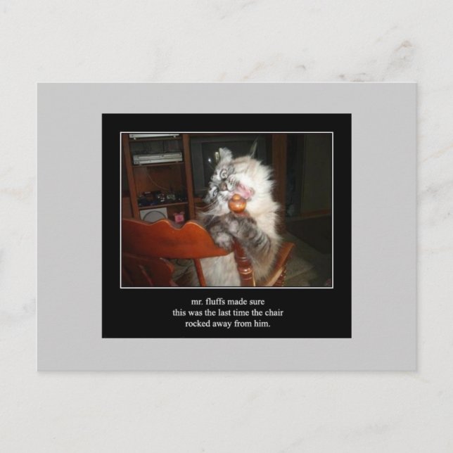 Haiku cat 15 vycard vykort (Framsida)