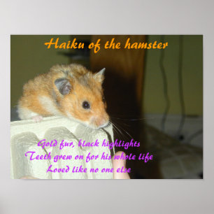Haiku Hamster 1 Poster