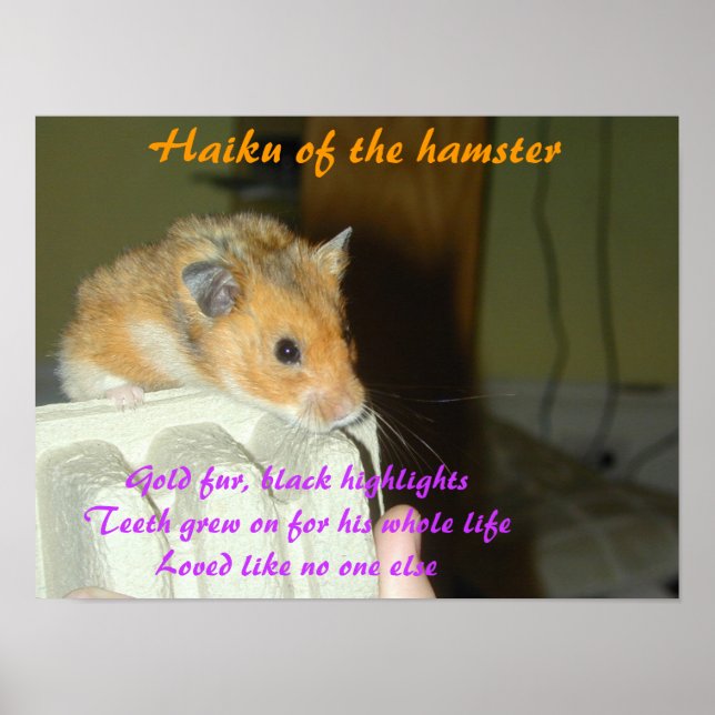 Haiku Hamster 1 Poster (Framsidan)