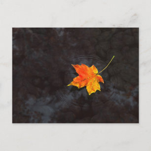 Haiku Postcard Vykort
