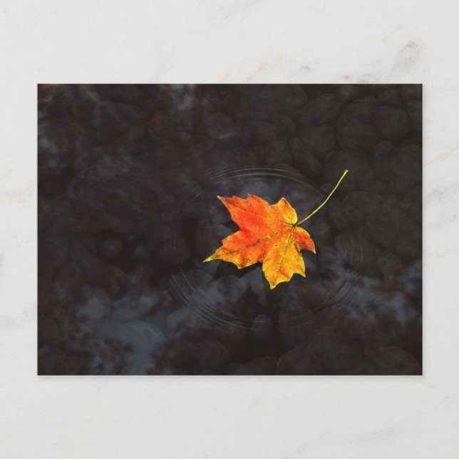 Haiku Postcard Vykort (Framsida)