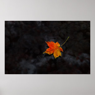 Haiku Poster