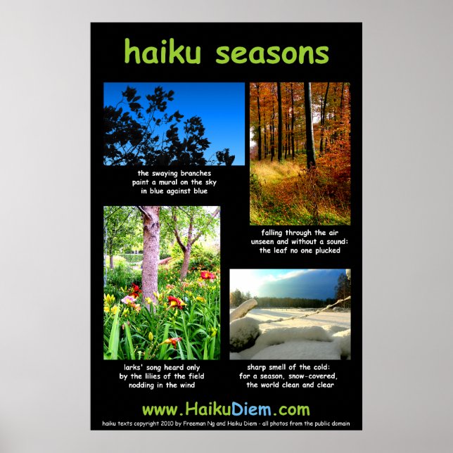 Haiku Seasons poster (svart bakgrund) (Framsidan)