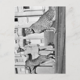 Haile Selassie - HIM - Rastafari - vykort