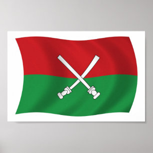 Hainan Li & Miao Flagga Poster Skriv ut