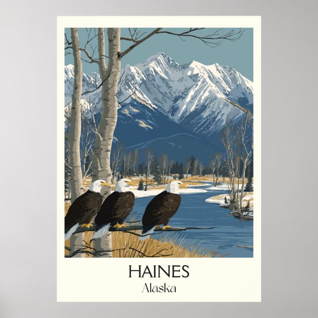 Haines Alaska Örnar Snöiga berg Poster (Framsidan)