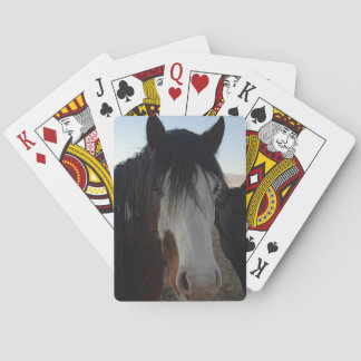 Hair in the Eyes Playing Cards Casinokort