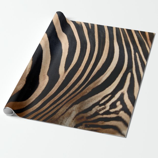 hair skin of zebraskin,animal,background,black,bod presentpapper (Utrullad)