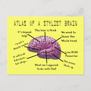 Hair Stylist Gifts "Atlas of a Stylist Brain" Vykort