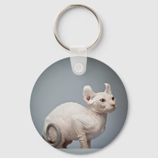 HAIRLESS CAT NYCKELRING