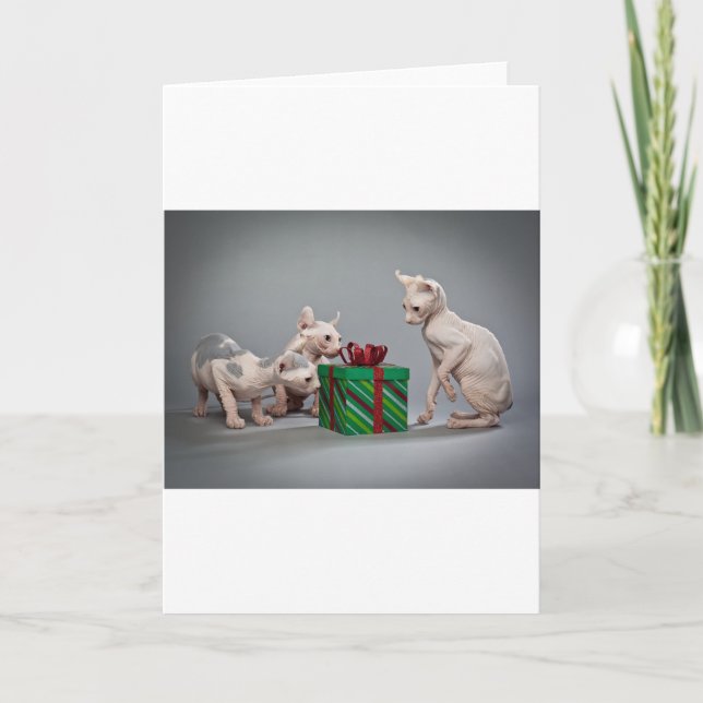 HAIRLESS CAT'S CHRISTMAS HELGKORT (Framsida)