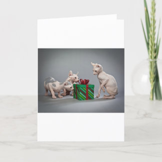 HAIRLESS CAT'S CHRISTMAS HELGKORT