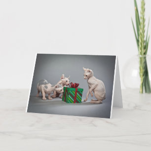 HAIRLESS CAT'S CHRISTMAS HELGKORT