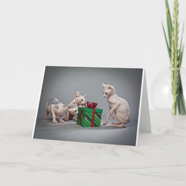 HAIRLESS CAT'S CHRISTMAS HELGKORT (Framsida)