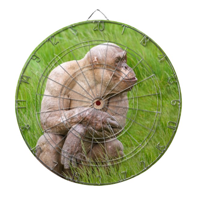 Hairless Chimpanzee Darttavla (Framsidan)