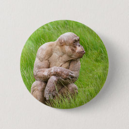 Hairless Chimpanzee Knapp