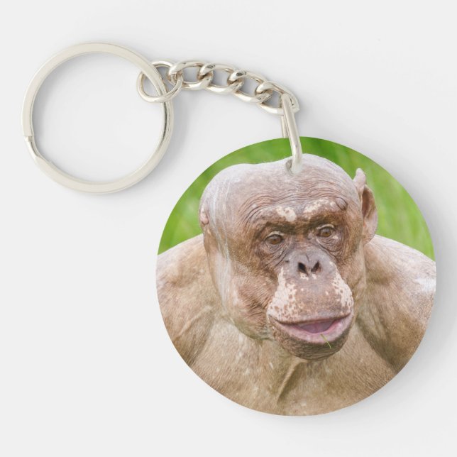 Hairless Chimpanzee Magnet Keychain (Framsidan)