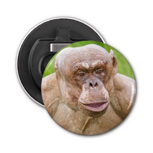 Hairless Chimpanzee Magnet Keychain Flasköppnare (Framsidan)