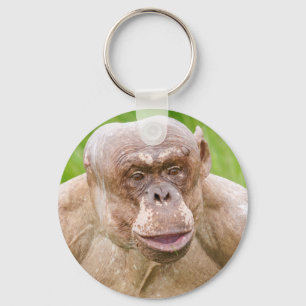 Hairless Chimpanzee Magnet Nyckelring