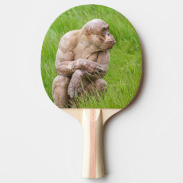 Hairless Chimpanzee Pingisracket