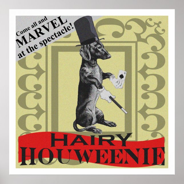 Hairy Houweenie! Wiener Hund ’Carnival’ Poster (Framsidan)