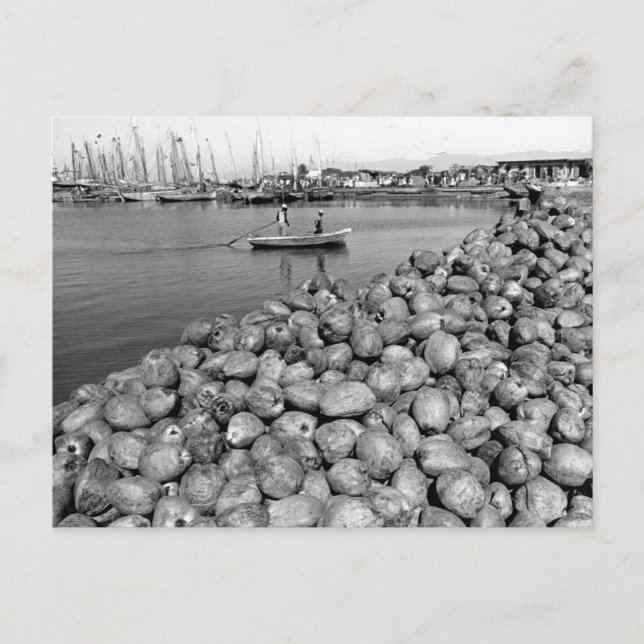 Haiti Port Au Prince Vykort (Framsida)