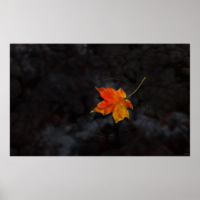 Haiti Poster (Framsidan)