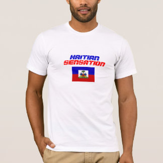 HAITIER FÖRNIMMELSE TEE SHIRT