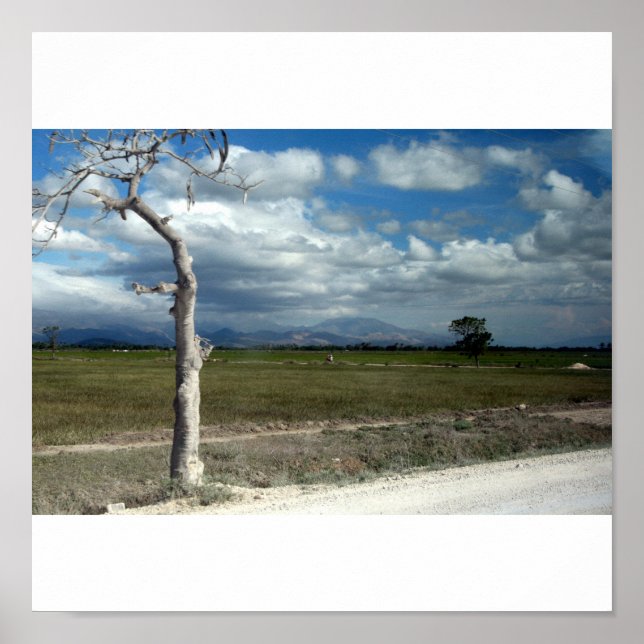 Haitis scener poster (Framsidan)