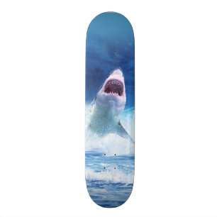 HAJ FILM SKATEBOARD