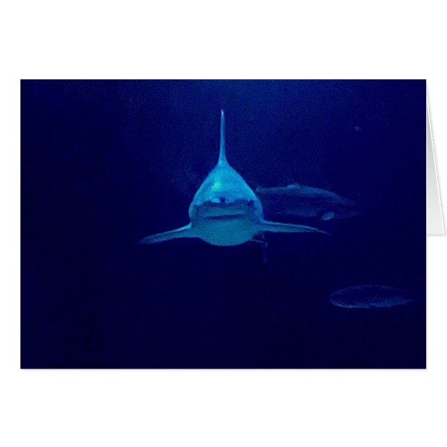 Haj Hälsningskort (Framsidan Horizontal)