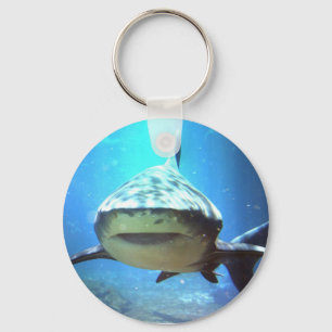 Haj Keychain Nyckelring