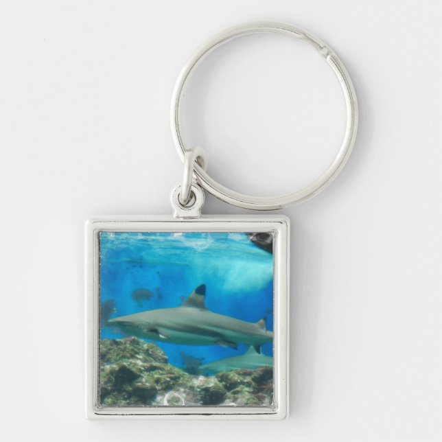 Haj med reven Keychain Fyrkantig Silverfärgad Nyckelring (Framsidan)