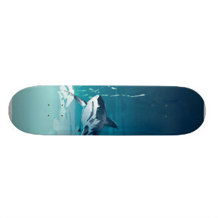 haj skateboard bräda 20 cm