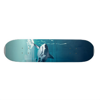 haj skateboard bräda 20 cm