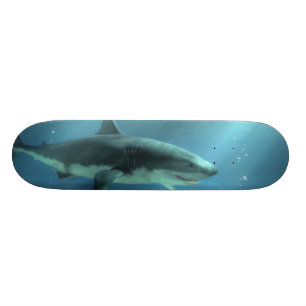 Haj Skateboard Bräda 21,5 Cm