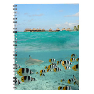 Haj som jagar fiskar i den Bora Bora Anteckningsbok Med Spiral