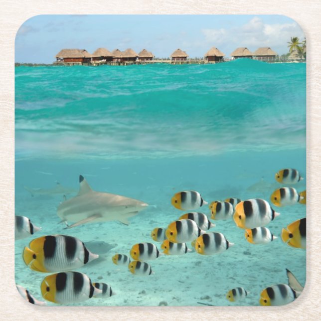 Haj som jagar fiskar i den Bora Bora Underlägg Papper Kvadrat (Framsidan)