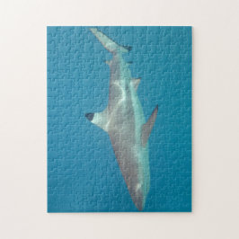 Haj som simmar det undervattens- pussel