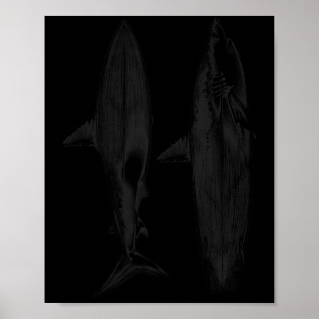 Haj surfbräda fen design cool surfare hav strand poster (Framsidan)