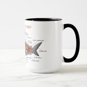 Hajanatomi Mugg