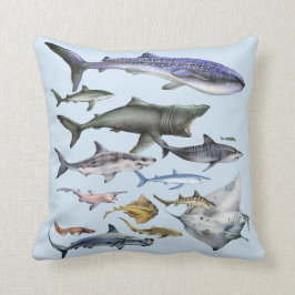 Hajar av världen kudde