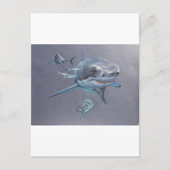 Hajar i Bay Vykort (Framsida)