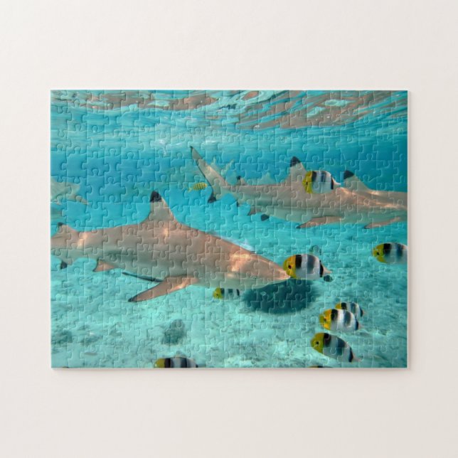 Hajar i det Bora Bora lagunpussel Pussel (Horisontell)