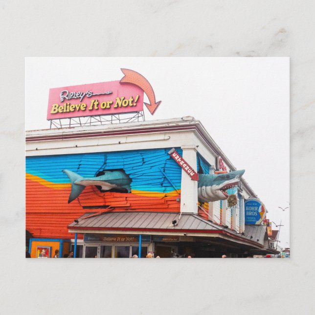 Hajar i Ocean city, Maryland, USA Helg Vykort (Framsida)